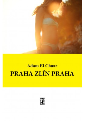 Praha Zlín Praha (ePub)