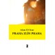 Praha Zlín Praha (ePub)